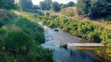 Ο-Αγιαμονιώτης-γίνεται-«δεύτερος-Ληθαίος»-με-12-εκατ.-ευρώ