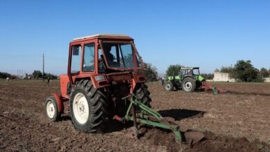 ΑΑΔΕ:-Σήμερα-η-1η-δόση-επιστροφής-ΕΦΚ-αγροτικού-πετρελαίου-2026