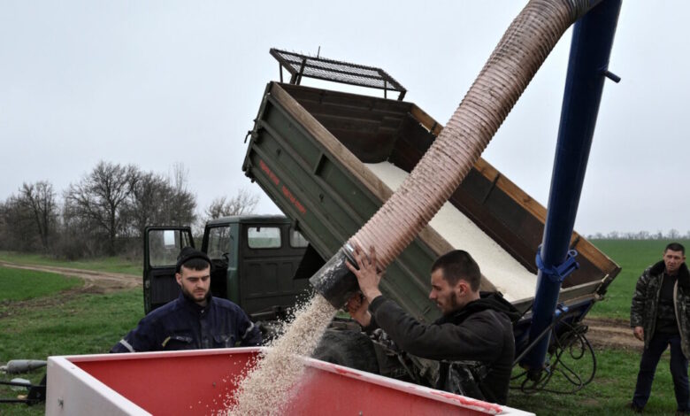 Η-Ουκρανία-ζητά-από-το-Ισραήλ-να-κατασχέσει-πλοίο-που-μεταφέρει-«κλεμμένα»-σιτηρά-–-Διπλωματικό-«beef»-στο-twitter