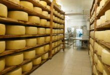 Λέσβος:-Όροι-βιοασφάλειας-για-τη-διακίνηση-τυριών