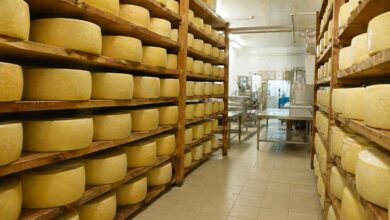 Λέσβος:-Όροι-βιοασφάλειας-για-τη-διακίνηση-τυριών