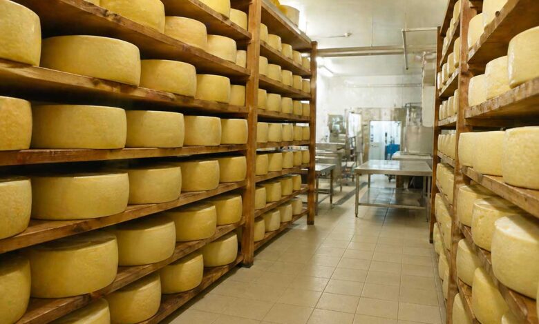 Λέσβος:-Όροι-βιοασφάλειας-για-τη-διακίνηση-τυριών