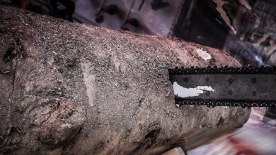 Πήλιο:-85χρονη-τραυματίστηκε-σοβαρά-με-αλυσοπρίονο