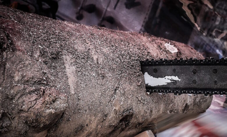 Πήλιο:-85χρονη-τραυματίστηκε-σοβαρά-με-αλυσοπρίονο