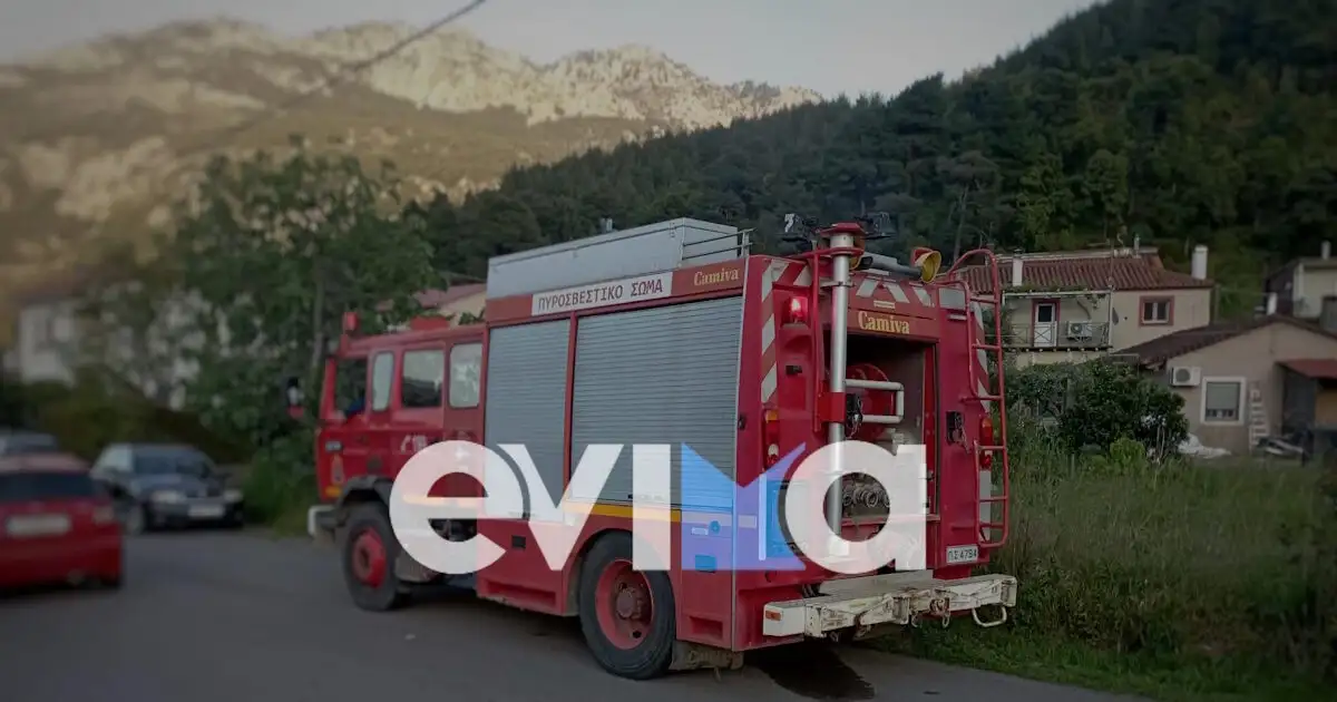 Συναγερμός-στην-Εύβοια:-Εντοπίστηκαν-τρεις-ρουκέτες-του-στρατού,-θα-μεταφερθούν-στο-Μενίδι-για-ελεγχόμενη-έκρηξη