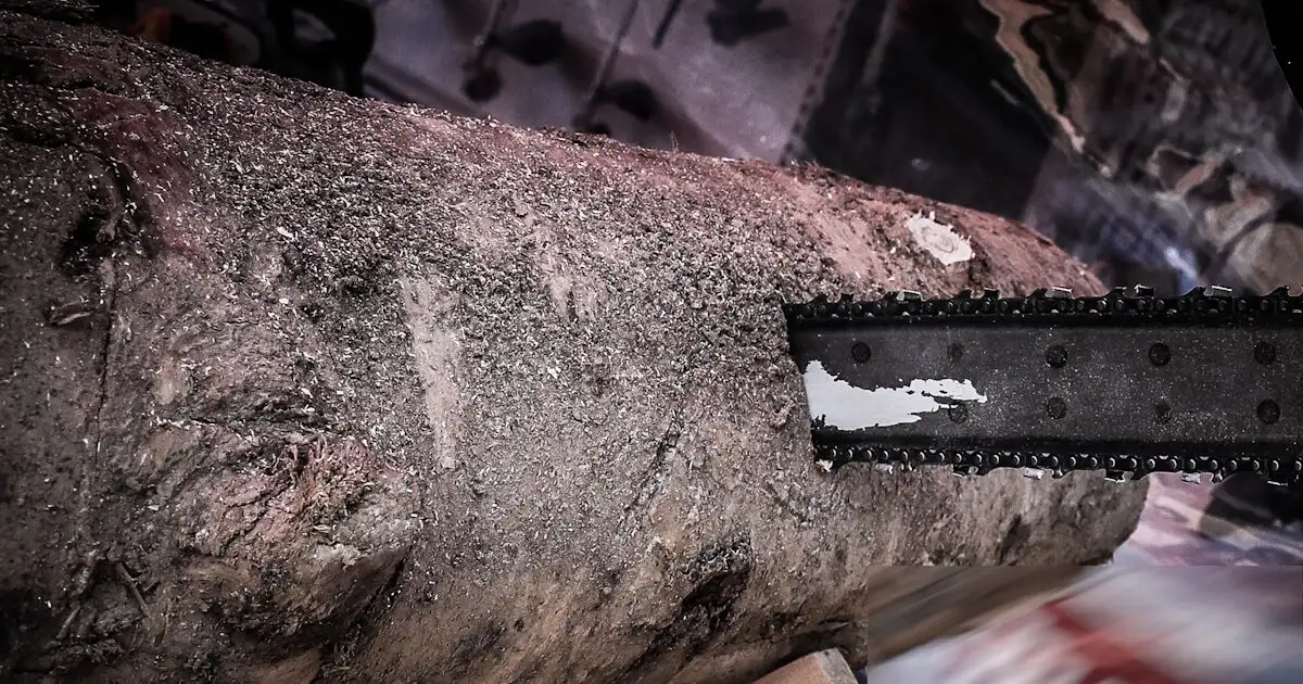 Πήλιο:-85χρονη-τραυματίστηκε-σοβαρά-με-αλυσοπρίονο