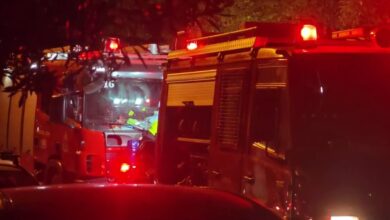 Καλλιθέα:-Πυροσβέστες-έσωσαν-ηλικιωμένη-και-τα-τέσσερα-σκυλιά-της-από-φωτιά