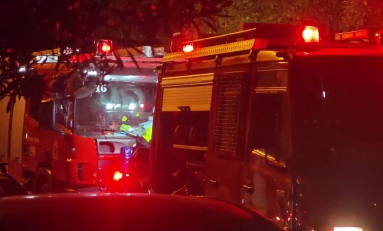 Καλλιθέα:-Πυροσβέστες-έσωσαν-ηλικιωμένη-και-τα-τέσσερα-σκυλιά-της-από-φωτιά