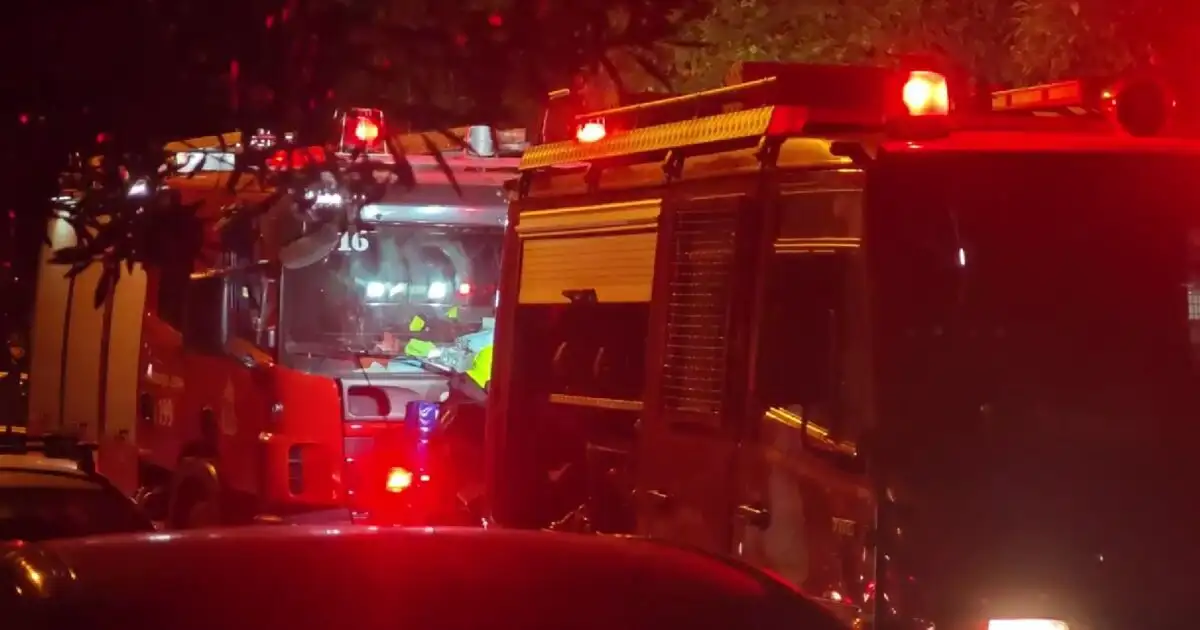 Καλλιθέα:-Πυροσβέστες-έσωσαν-ηλικιωμένη-και-τα-τέσσερα-σκυλιά-της-από-φωτιά