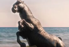 «Οδύσσεια»:-«Η-πίεση-είναι-τεράστια»-δηλώνει-ο-Κρίστοφερ-Νόλαν-για-το-νέο-του-κινηματογραφικό-έπος