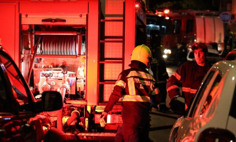 Φωτιά-σε-εργοστάσιο-στη-Βοιωτία-–-Ισχυρές-δυνάμεις-στο-σημείο