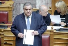 Εθνικό-Μητρώο-Ζώων:-Νέες-υπηρεσίες-για-πολίτες-και-Δήμους