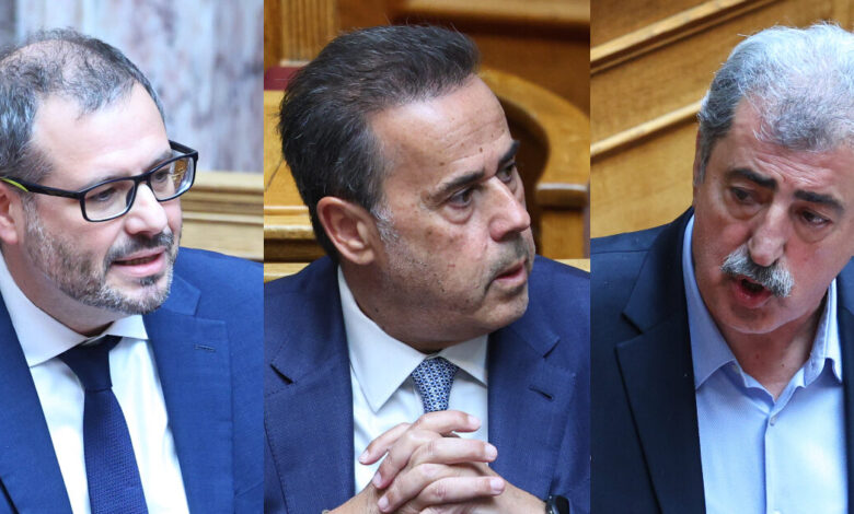 Σφοδρή-επίθεση-Πολάκη-σε-Παπασταύρου-και-Τσάφο:-«Πράκτορες-αμερικανικών-και-γερμανικών-συμφερόντων»