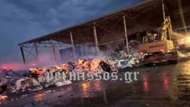Φωτιά-σε-εργοστάσιο-στον-Οροχμενό-–-Ισχυρές-δυνάμεις-στο-σημείο