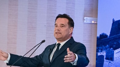 Ο-Γεωργιάδης-τρολάρει-τον-Ανδρουλάκη-για-το-κόκκινο-γαρύφαλλο:-Η-έλευση-του-κόμματος-Τσίπρα-έχει-άμεσες-επιπτώσεις