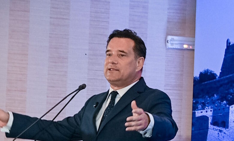 Ο-Γεωργιάδης-τρολάρει-τον-Ανδρουλάκη-για-το-κόκκινο-γαρύφαλλο:-Η-έλευση-του-κόμματος-Τσίπρα-έχει-άμεσες-επιπτώσεις