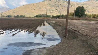 Κουρέτας:-Να-αποζημιωθούν-λόγω-των-φερτών-υλικών-οι-πληγέντες-Θεσσαλοί-παραγωγοί-από-τον-daniel-–-Επιστολή-σε-Σχοινά
