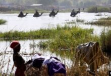 Τσαντ:-Νεκροί-23-στρατιώτες-σε-επιδρομή-της-Μπόκο-Χαράμ