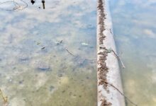 Τρίκαλα:-Αιχμηρό-σχόλιο-Ηλιάδη-για-τα-34.372-ευρώ-στα-συντριβάνια