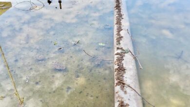 Τρίκαλα:-Αιχμηρό-σχόλιο-Ηλιάδη-για-τα-34.372-ευρώ-στα-συντριβάνια