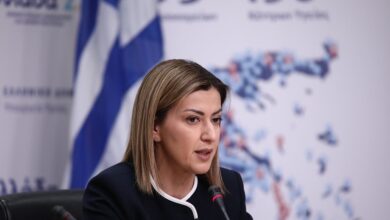 Αγαπηδάκη-για-το-φονικό-στην-Κρήτη:-«Να-απαιτήσει-η-Κρητικιά-να-μη-μπει-όπλο-σπίτι-της»
