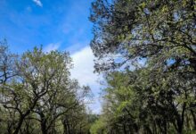 Καιρός-σήμερα:-Καλοκαιρινό-σκηνικό-με-υψηλές-θερμοκρασίες