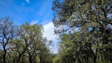 Καιρός-σήμερα:-Καλοκαιρινό-σκηνικό-με-υψηλές-θερμοκρασίες