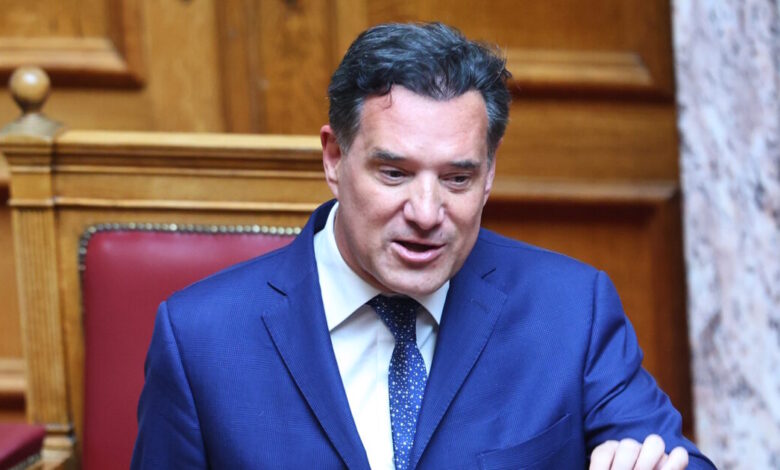 Άδωνις-Γεωργιάδης:-Η-Μαρία-Καρυστιανού-είναι-στη-«δεξαμενή»-αυτών-που-θέλουν-το-μπάχαλο