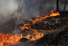 Τσερνόμπιλ:-Μεγάλη-φωτιά-στην-απαγορευμένη-ζώνη-μετά-από-πτώση-drone