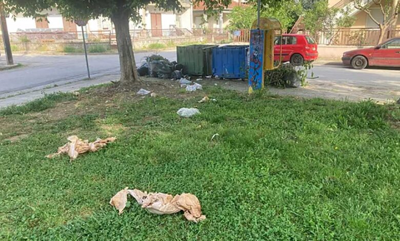 Τρίκαλα:-Δύο-κάδοι-δεν-φτάνουν-για-τις-Αμυγδαλιές