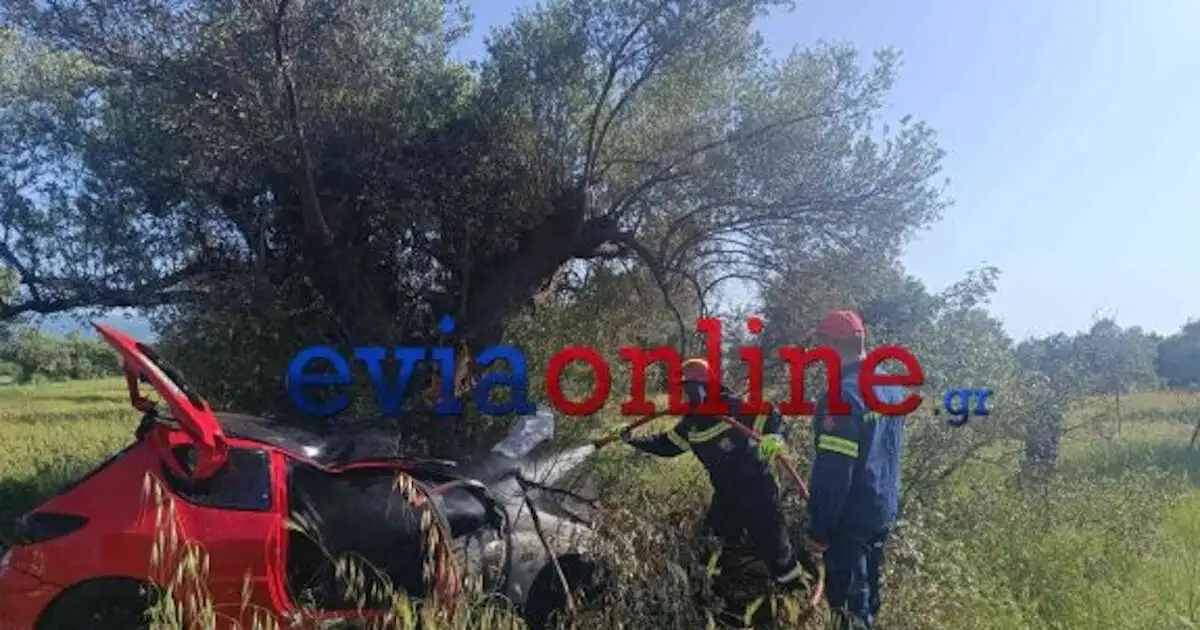 Εύβοια:-Τροχαίο-με-αυτοκίνητο-να-φεύγει-από-τον-δρόμο,-να-πέφτει-σε-ελιά-και-να-παίρνει-φωτιά