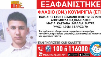 Εξαφάνιση-13χρονου-στη-Χαλκιδική,-τι-αναφέρει-το-Χαμόγελο-του-Παιδιού
