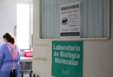 Χανταϊός:-Στα-8-τα-επιβεβαιωμένα-κρούσματα-του-στελέχους-των-Άνδεων,-σύμφωνα-με-τον-ΠΟΥ