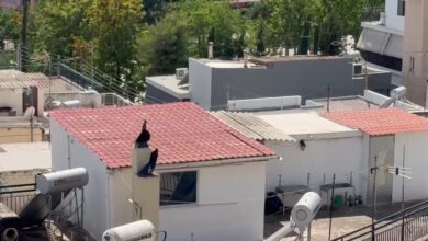 Περιστέρι:-«Τους-δίναμε-ρούχα-αλλά-φορούσαν-τα-ίδια-βρώμικα-και-σκισμένα»-–-Συγκλονίζουν-οι-μαρτυρίες-για-τα-6-παιδιά-που-ζούσαν-μέσα-σε-ακαθαρσίες