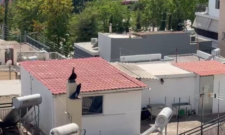 Περιστέρι:-«Τους-δίναμε-ρούχα-αλλά-φορούσαν-τα-ίδια-βρώμικα-και-σκισμένα»-–-Συγκλονίζουν-οι-μαρτυρίες-για-τα-6-παιδιά-που-ζούσαν-μέσα-σε-ακαθαρσίες