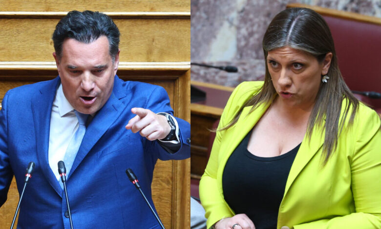 Γεωργιάδης-κατά-Κωνσταντοπούλου:-«Κανένας-παρακρατικός-μηχανισμός-δεν-σας-κυνηγάει,-μόνο-η-κουνιάδα-της-κυρίας-Κεφαλά»