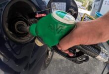 Τρίκαλα:-“Κλειδώνει”-πάνω-από-τα-2-ευρώ-η-αμόλυβδη-για-το-επόμενο-εξάμηνο