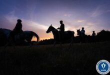 Μετέωρα:-Ασημένιο-βραβείο-για-το-Κυνήγι-Τρούφας