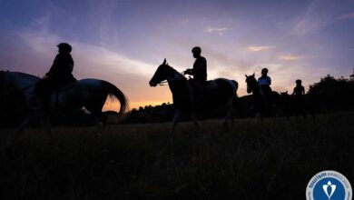 Μετέωρα:-Ασημένιο-βραβείο-για-το-Κυνήγι-Τρούφας