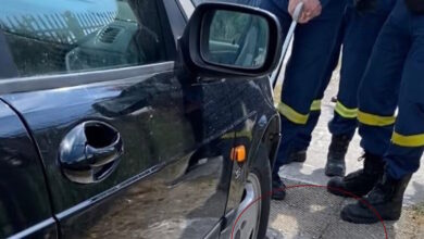 Ναύπακτος:-Τεράστιο-φίδι-μπλόκαρε-τιμόνι-αυτοκίνητου-–-Απεγκλωβίστηκε-και-αφέθηκε-στο-φυσικό-του-περιβάλλον