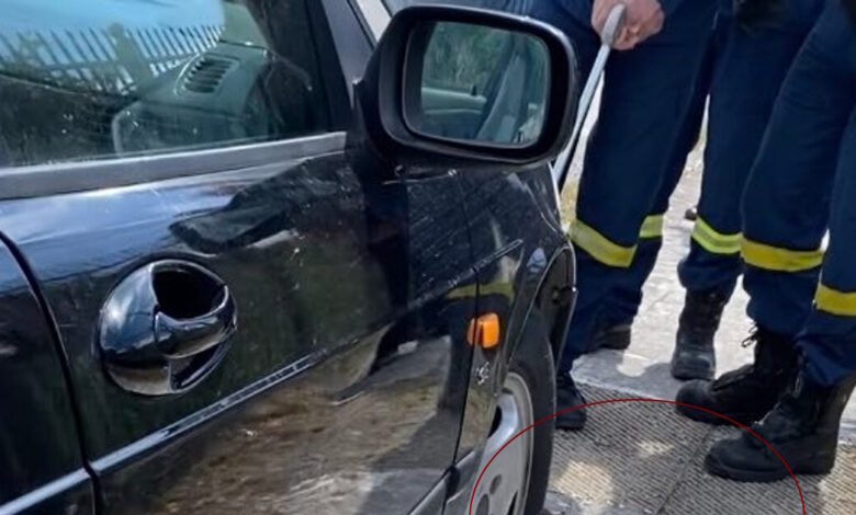 Ναύπακτος:-Τεράστιο-φίδι-μπλόκαρε-τιμόνι-αυτοκίνητου-–-Απεγκλωβίστηκε-και-αφέθηκε-στο-φυσικό-του-περιβάλλον