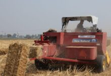 Αγρότες:-Αναδρομική-υπαγωγή-στο-ειδικό-καθεστώς-ΦΠΑ-–-Οδηγίες-και-διευκρινίσεις-από-την-ΑΑΔΕ