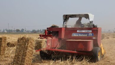 Αγρότες:-Αναδρομική-υπαγωγή-στο-ειδικό-καθεστώς-ΦΠΑ-–-Οδηγίες-και-διευκρινίσεις-από-την-ΑΑΔΕ