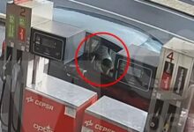 Πορτογαλία:-Ενώπιον-της-δικαιοσύνης-το-ζευγάρι-που-εγκατέλειψε-τα-δύο-αγοράκια-στο-δάσος