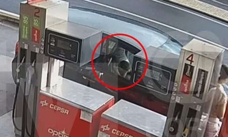 Πορτογαλία:-Ενώπιον-της-δικαιοσύνης-το-ζευγάρι-που-εγκατέλειψε-τα-δύο-αγοράκια-στο-δάσος