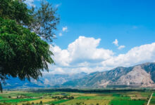 Σύστημα-ιχνηλασιμότητας-αγροδιατροφικών-προϊόντων:-Πώς-θα-εντοπίζονται-παράνομες-ελληνοποιήσεις