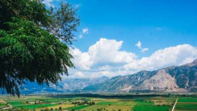 Σύστημα-ιχνηλασιμότητας-αγροδιατροφικών-προϊόντων:-Πώς-θα-εντοπίζονται-παράνομες-ελληνοποιήσεις