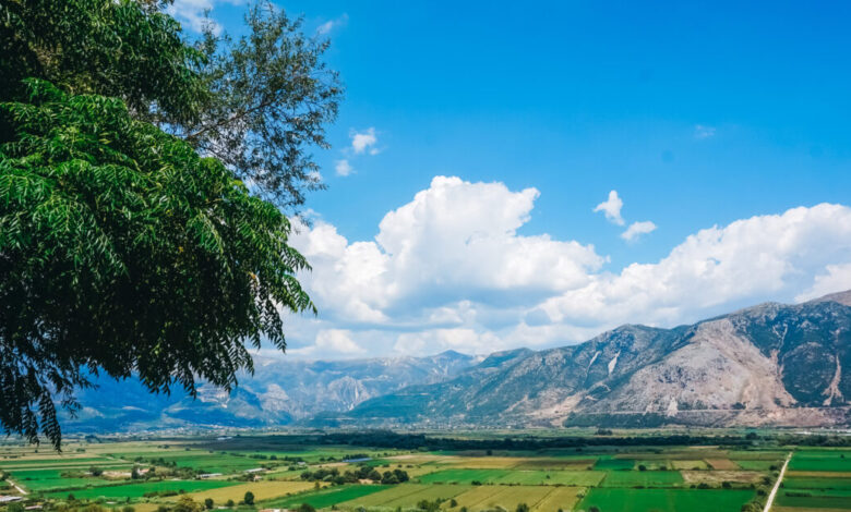 Σύστημα-ιχνηλασιμότητας-αγροδιατροφικών-προϊόντων:-Πώς-θα-εντοπίζονται-παράνομες-ελληνοποιήσεις
