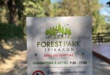 Από-το-“forest-park”-στο-“open-mall”:-από-την-Πόλη-έρχομαι-και-στην-κορφή-κανέλλα!