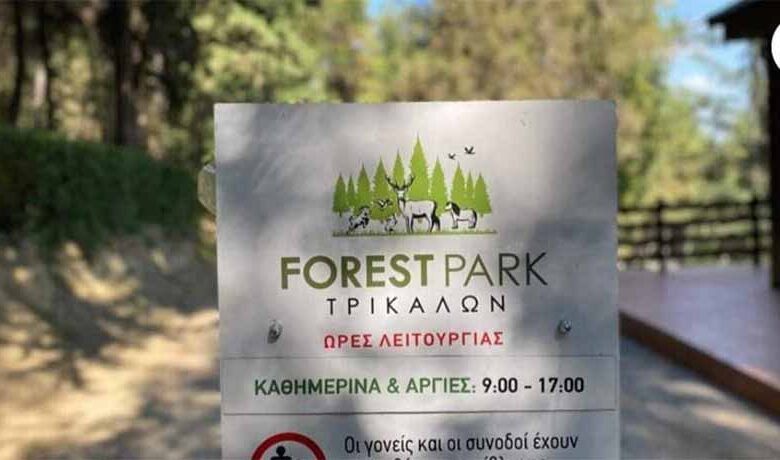 Από-το-“forest-park”-στο-“open-mall”:-από-την-Πόλη-έρχομαι-και-στην-κορφή-κανέλλα!